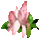 ŵ̳,